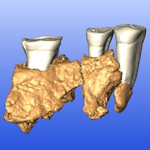 Kents Cavern CT-based three-dimensional model